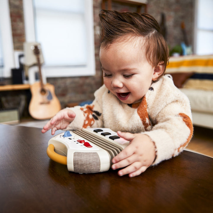 Tiny Rockers Accordion